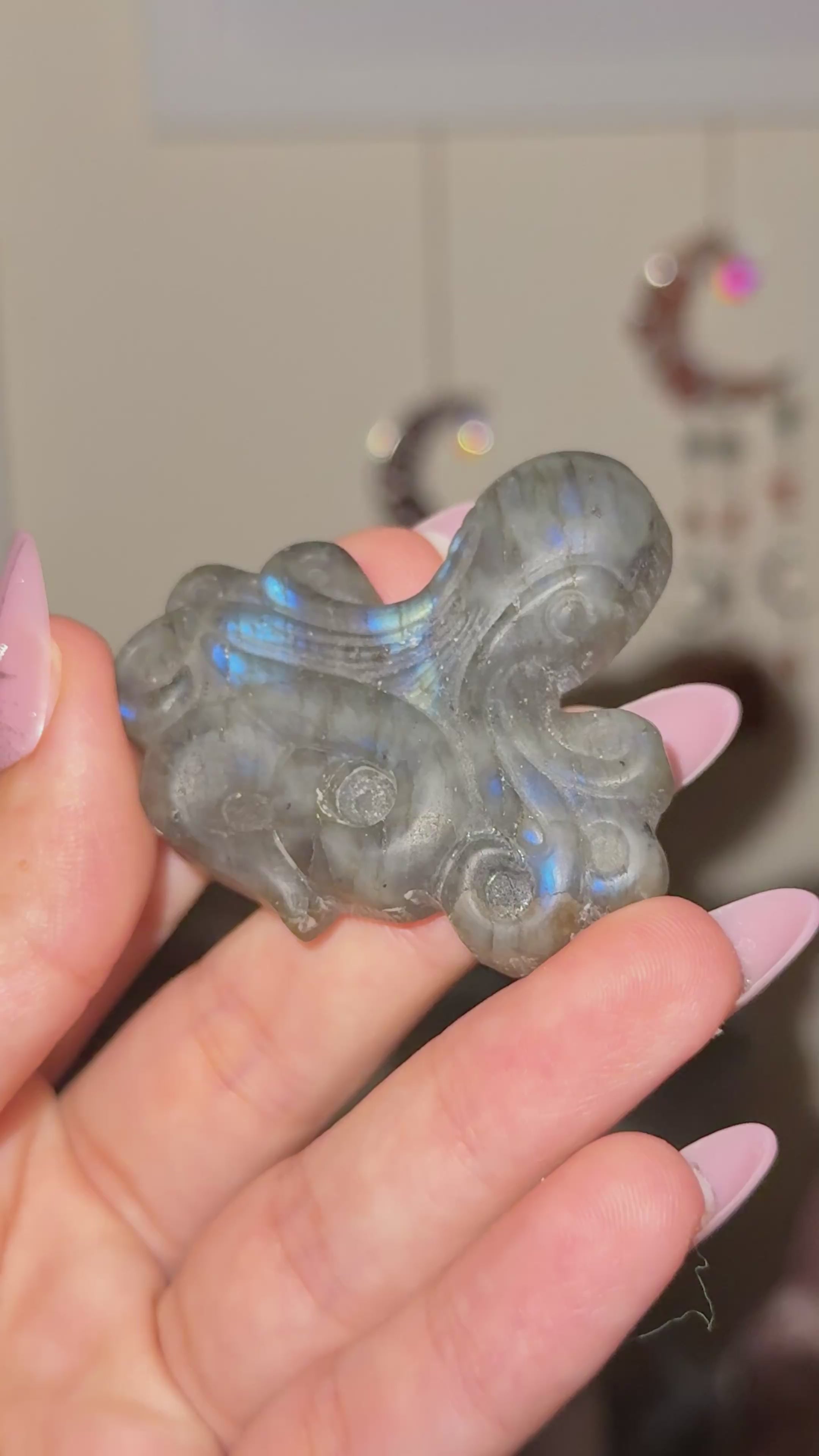 Labradorite Octopus Carving D
