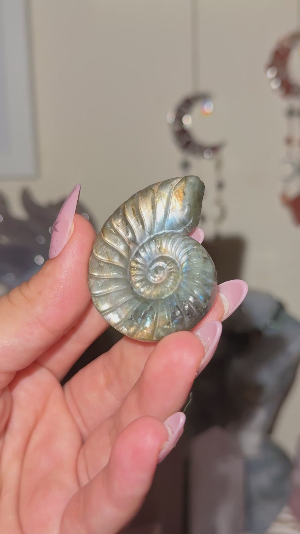 Labradorite Ammonite Carving A