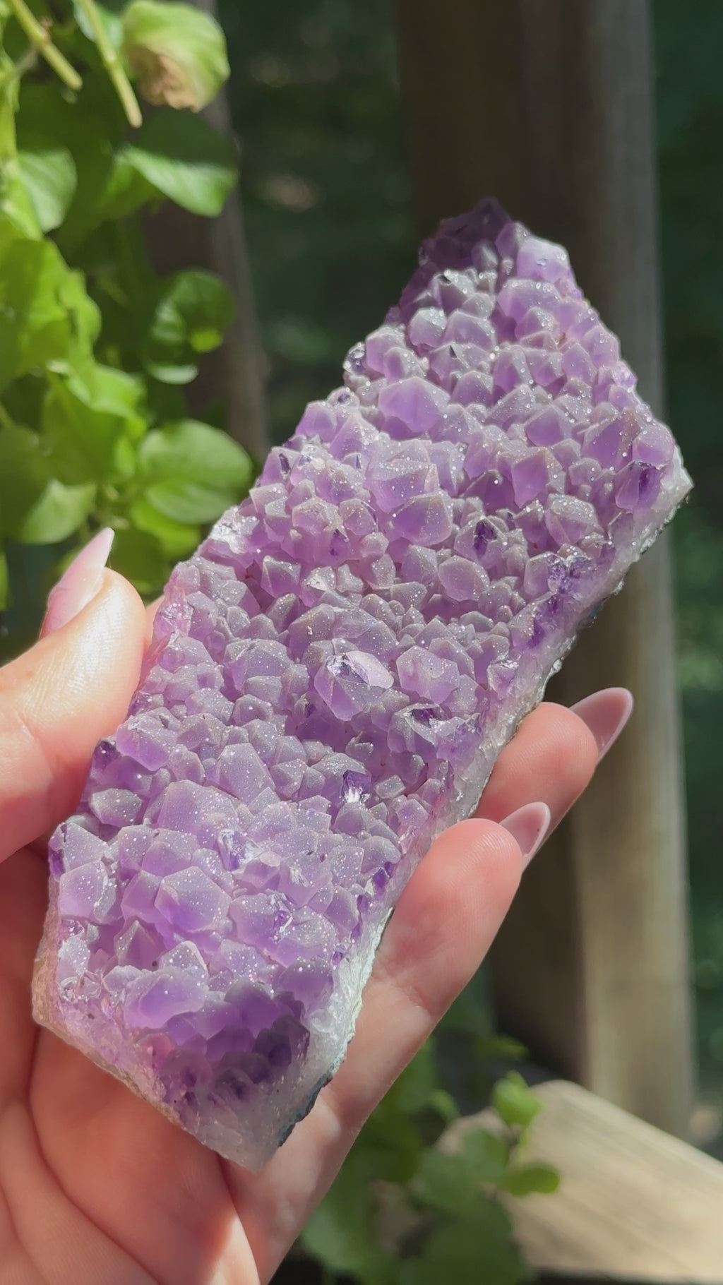 Brazilian Amethyst Sugar Druzy Cut Base On Stand