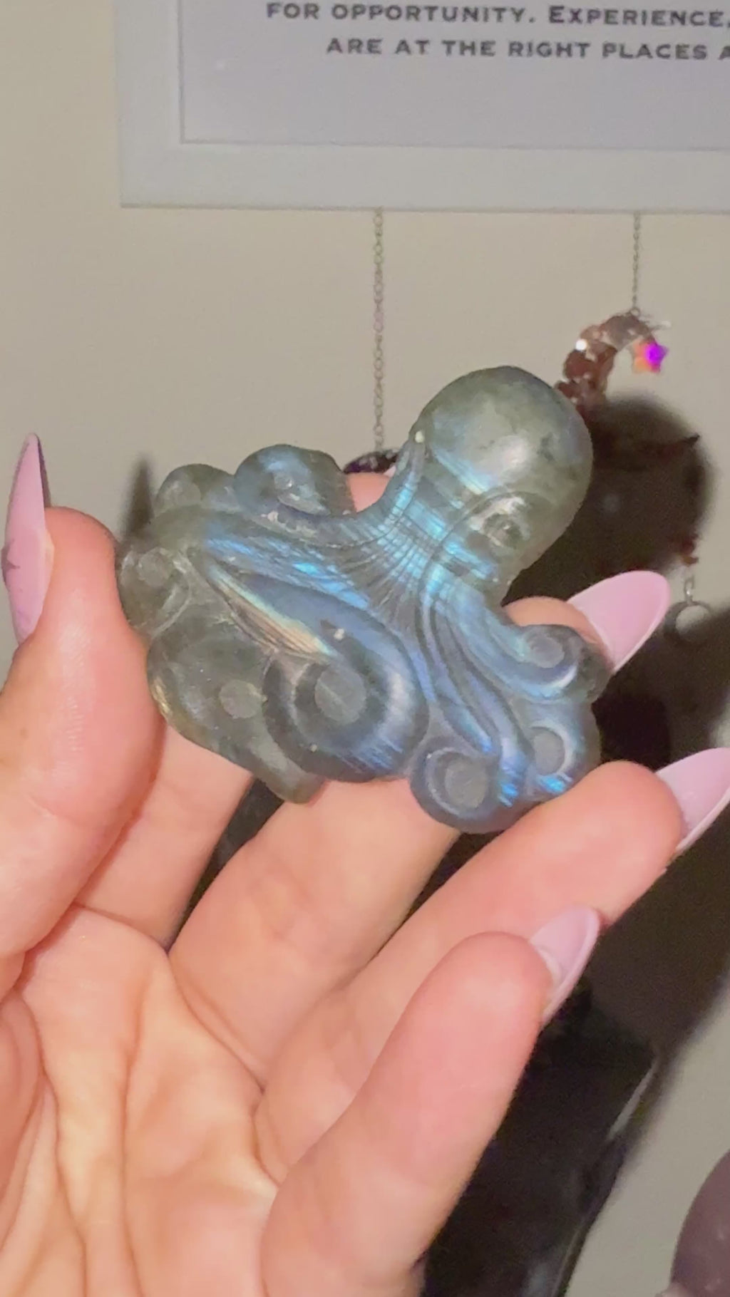 Labradorite Octopus Carving B