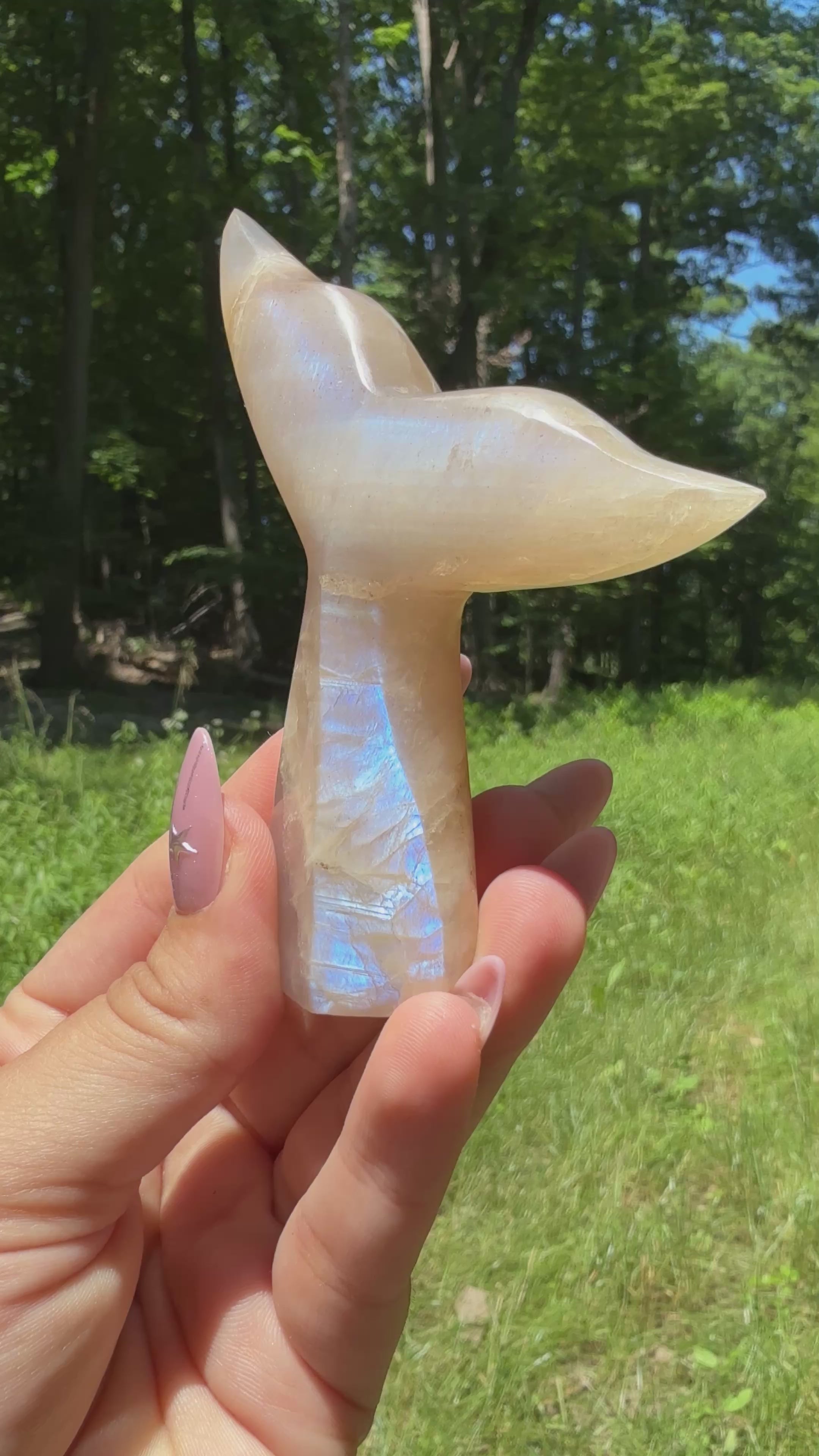 Tanzanian Moonstone Whale (Mermaid) Tail B