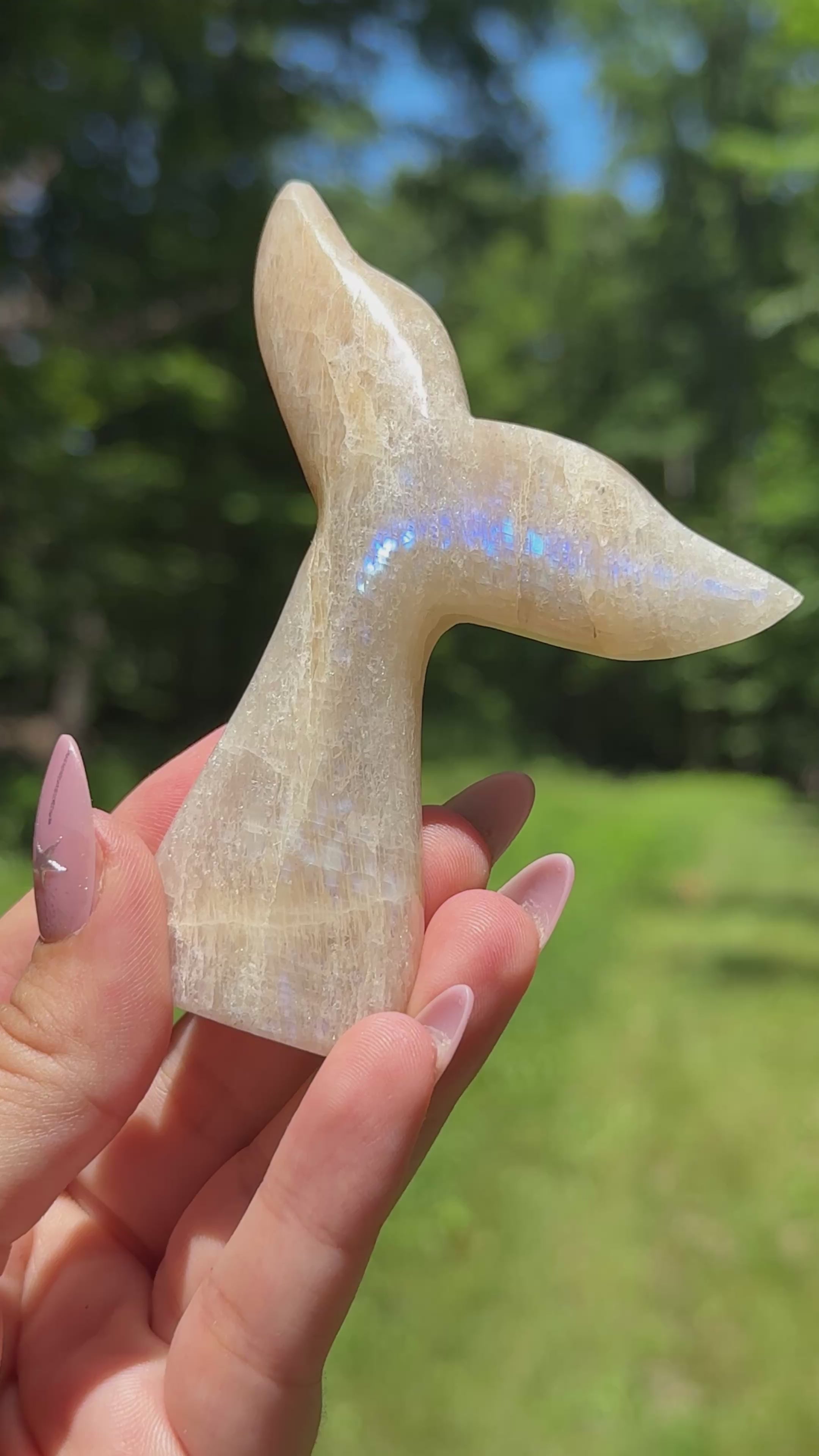 Tanzanian Moonstone Whale (Mermaid) Tail A