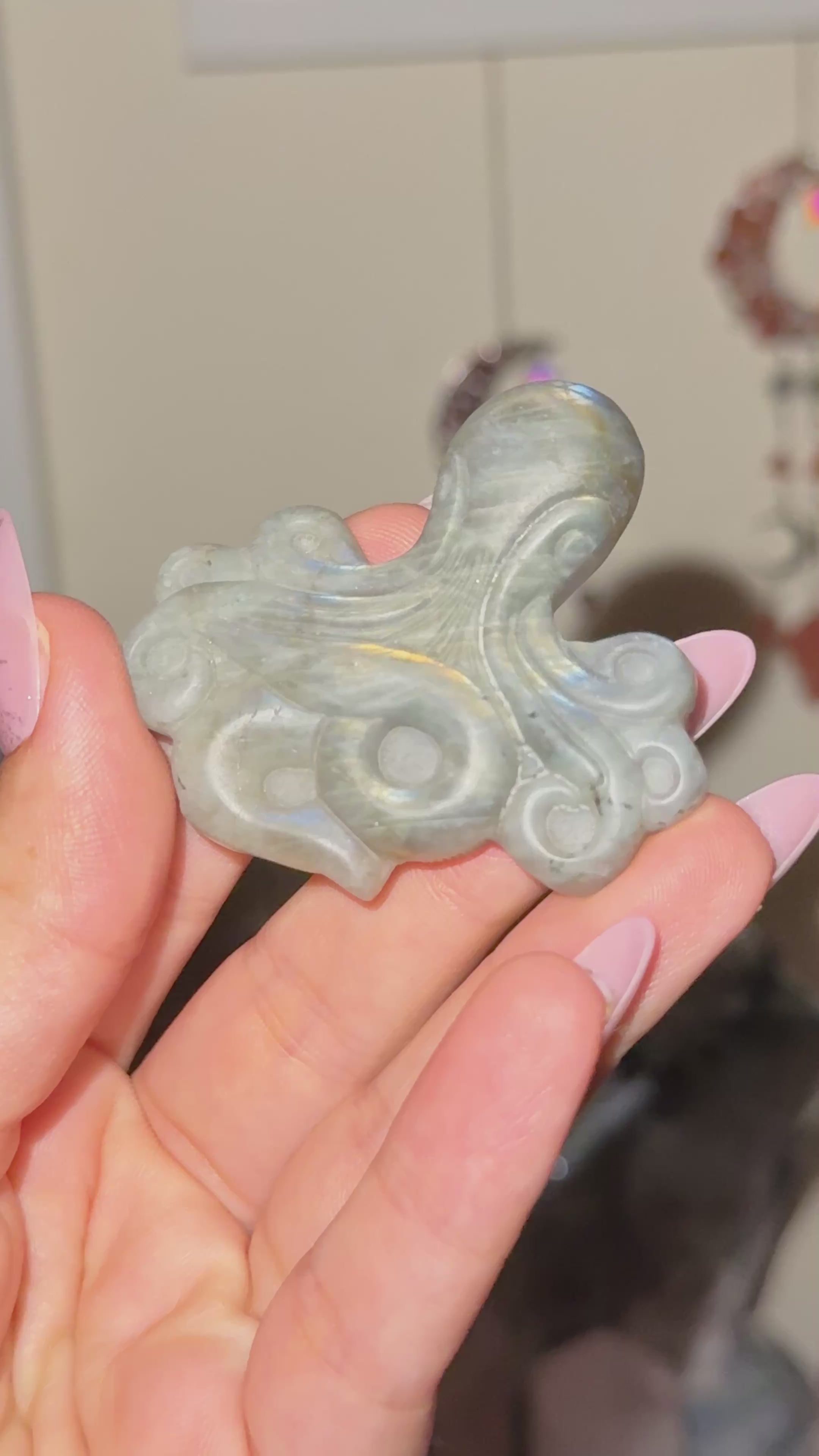 Labradorite Octopus Carving A
